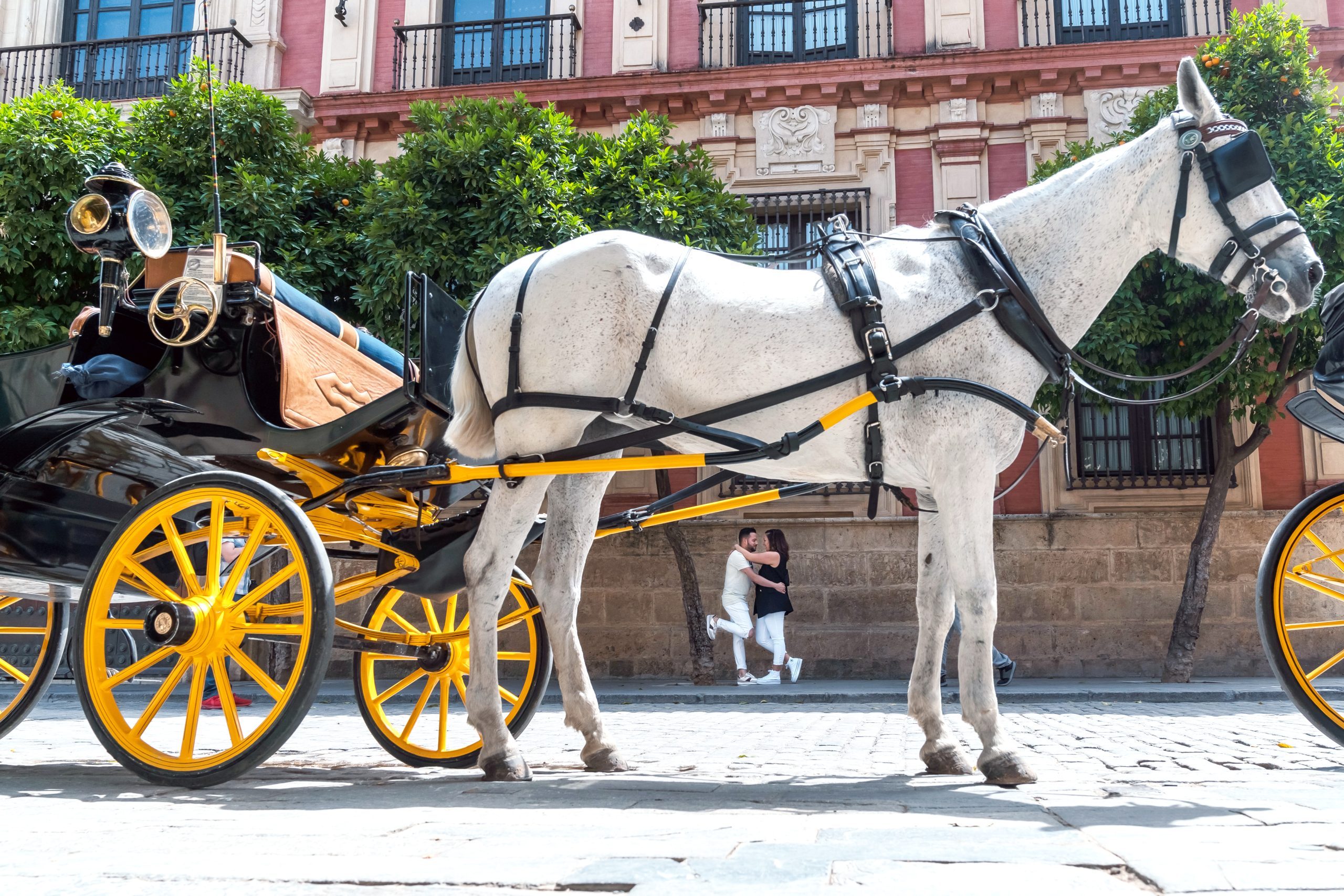 Fotografía de un caballo en la ciudad y la pareja abrazándose